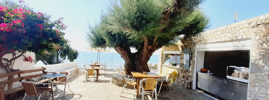 Le café et les chambres Lodge Narlis